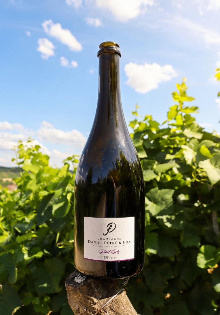Pinot Gris, Sur Mont Coppé Millésime 2020